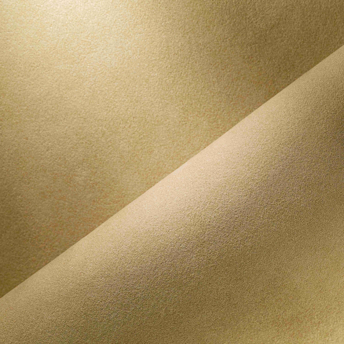 ALCANTARA - A AMBER GLOW